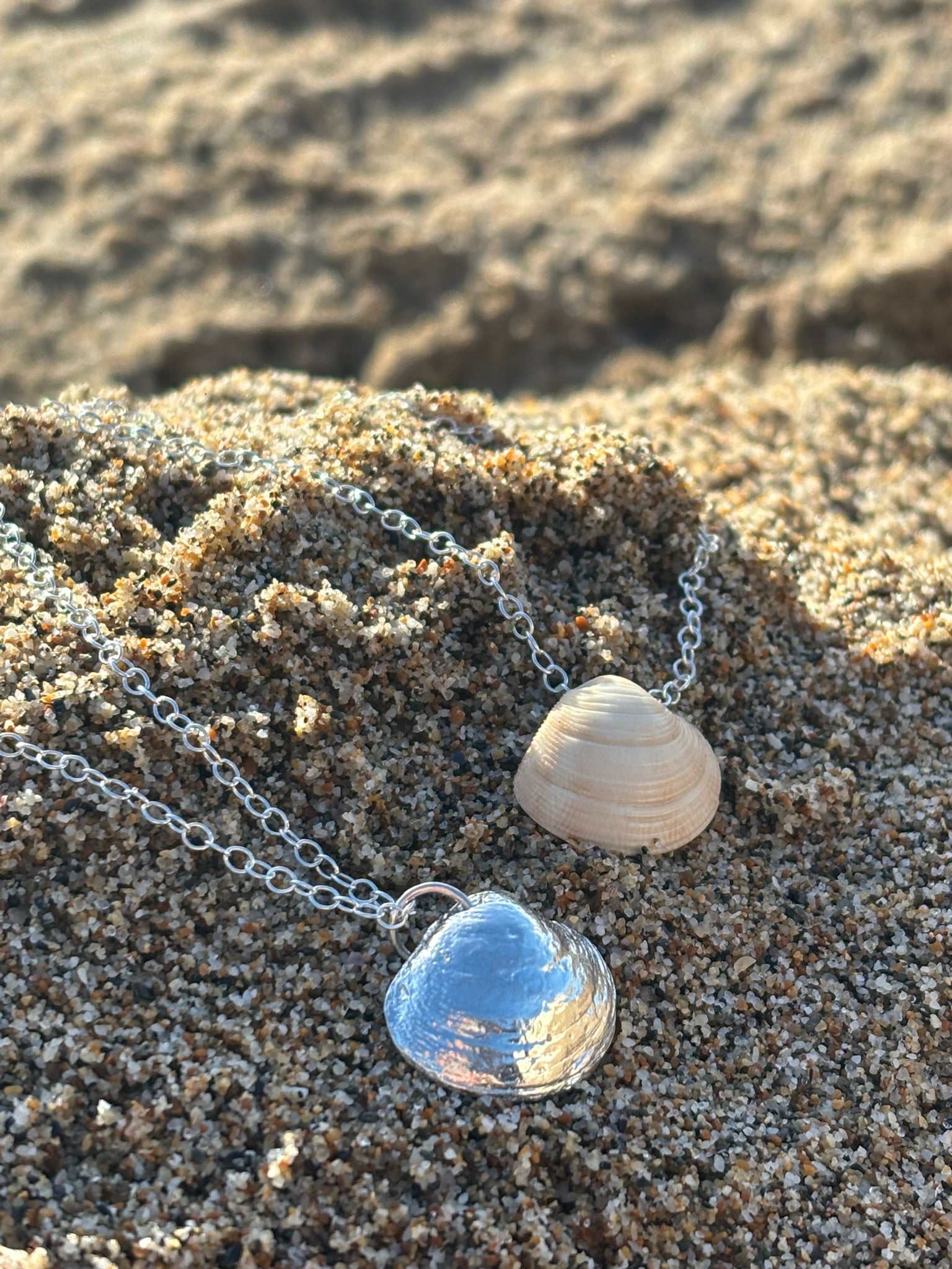Gifts from the Sea